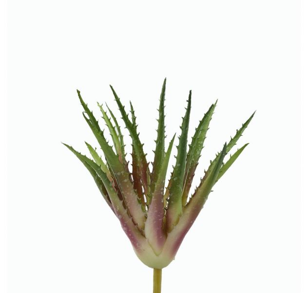 Cespuglio di Aloe Scura: piante artificiali di qualità 