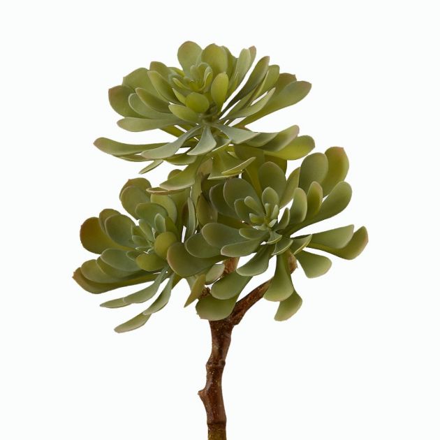 Pianta succulenta finta: piante grasse artificiali di qualità 